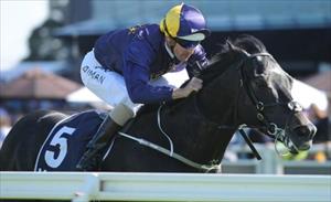 RSN Interview: O'Brien on his Caulfield runners