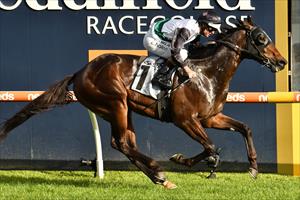 STABLE CHANGE FOR FINANCE TYCOON