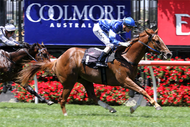 COOLMORE STAKES - STAR WITNESS