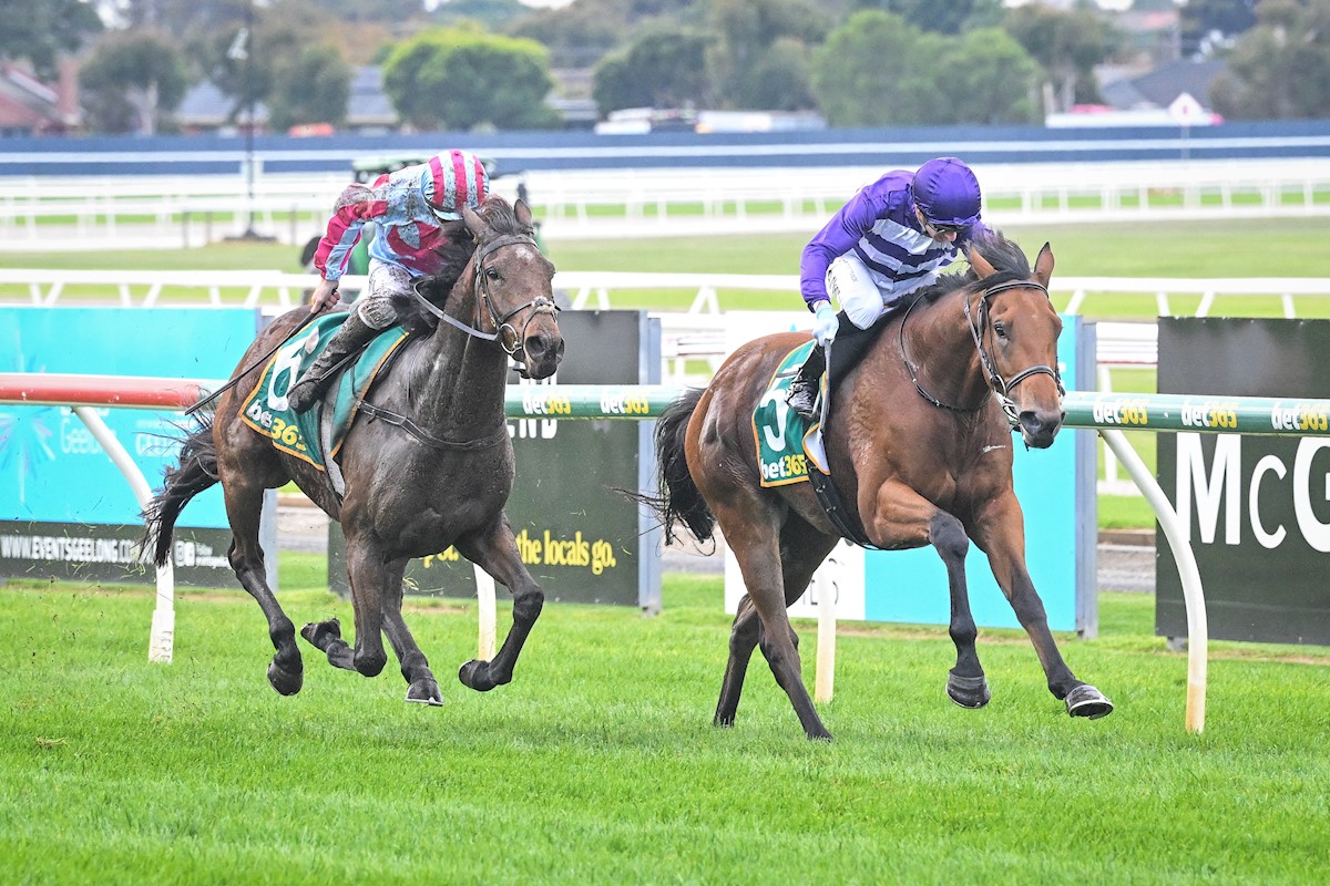 Danny O'Brien Racing - Press Box