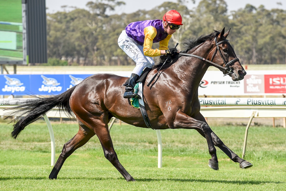 Danny O'Brien Racing - Press Box